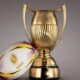 Coupe du monde de rugby 2025